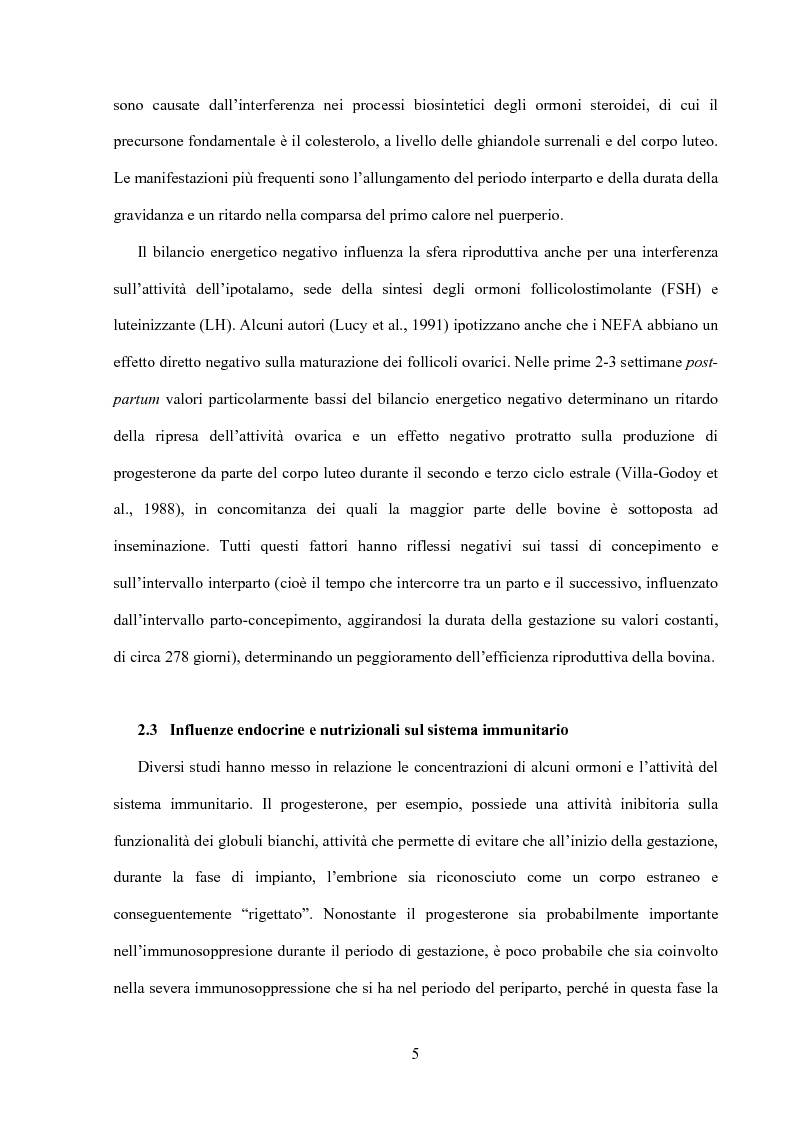 Anteprima della tesi: Somministrazione di due antiossidanti naturali alla bovina nel periparto: effetti sui parametri quali-quantitativi del latte e sullo stato ossidativo del siero, Pagina 5