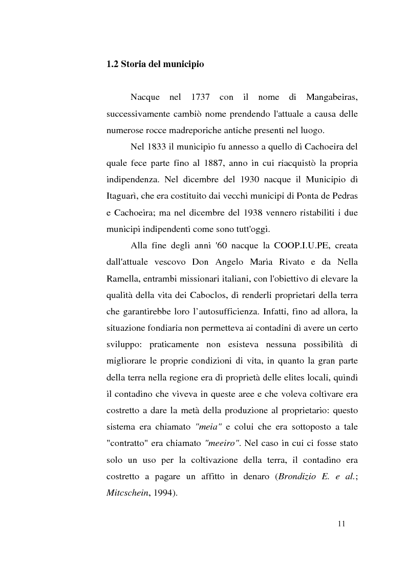 Anteprima della tesi: Mappatura delle aree agro-ecologiche della cooperativa coop.i.u.pe di Ponta de Pedras, nell’isola di Marajò (Parà, Brasile), Pagina 8