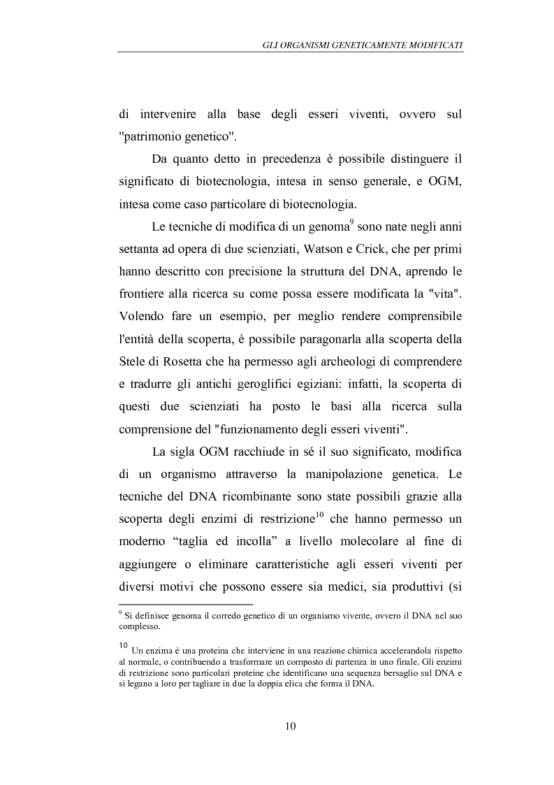 Anteprima della tesi: Gli Organismi Geneticamente Modificati (OGM), Pagina 14