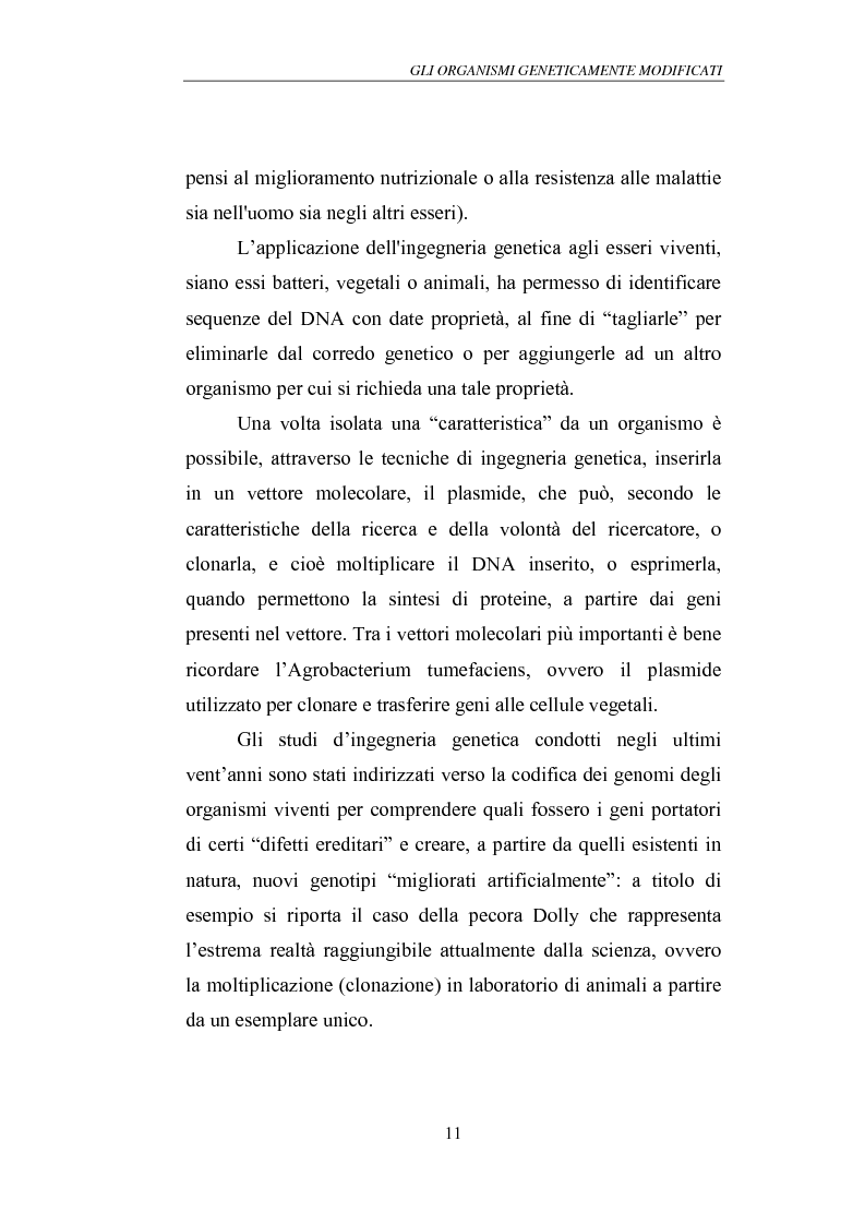 Anteprima della tesi: Gli Organismi Geneticamente Modificati (OGM), Pagina 15