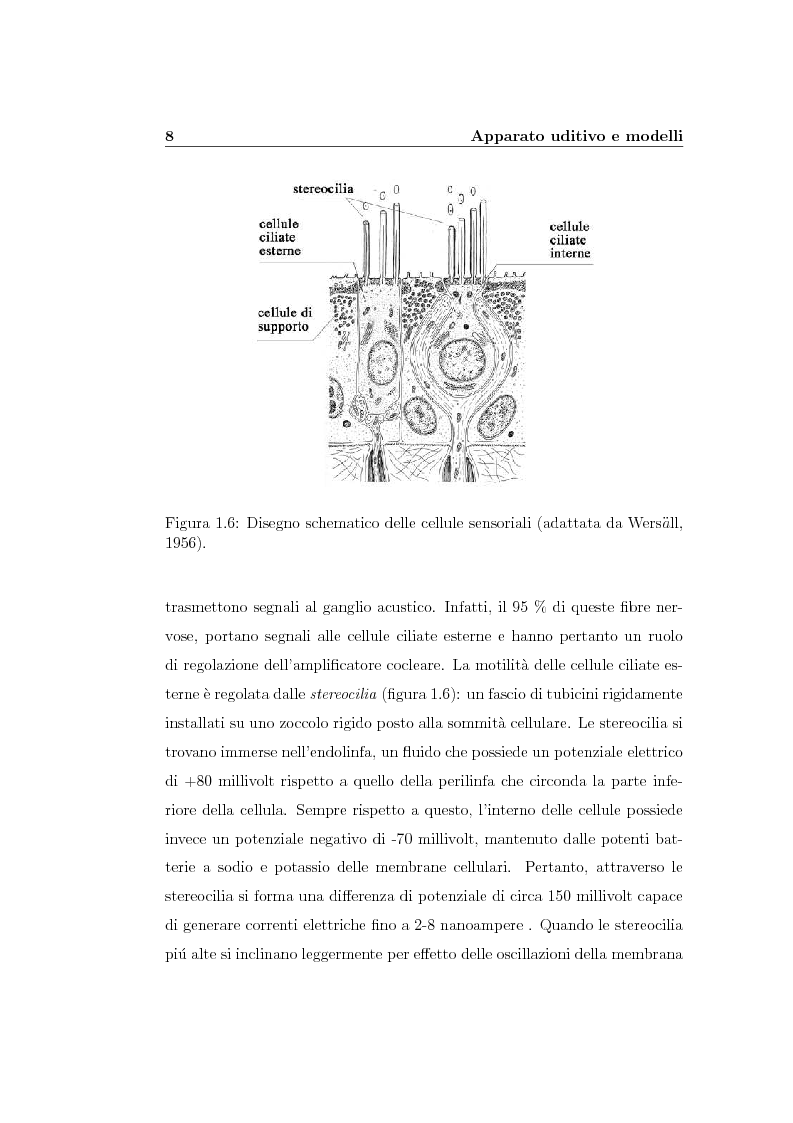 Anteprima della tesi: Modelli lineari e non lineari di partizione cocleare: loro realizzazione con filtri ad onda, Pagina 10