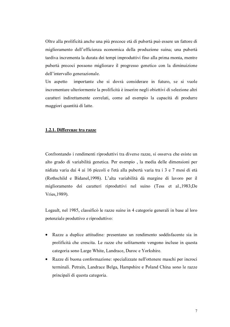 Anteprima della tesi: Polimorfismi SNP nel gene candidato BMPR1B per la prolificità nel suino in incroci Iberico X Meishan, Pagina 4