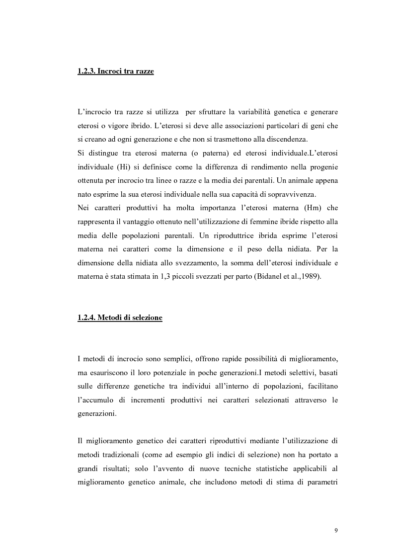 Anteprima della tesi: Polimorfismi SNP nel gene candidato BMPR1B per la prolificità nel suino in incroci Iberico X Meishan, Pagina 6