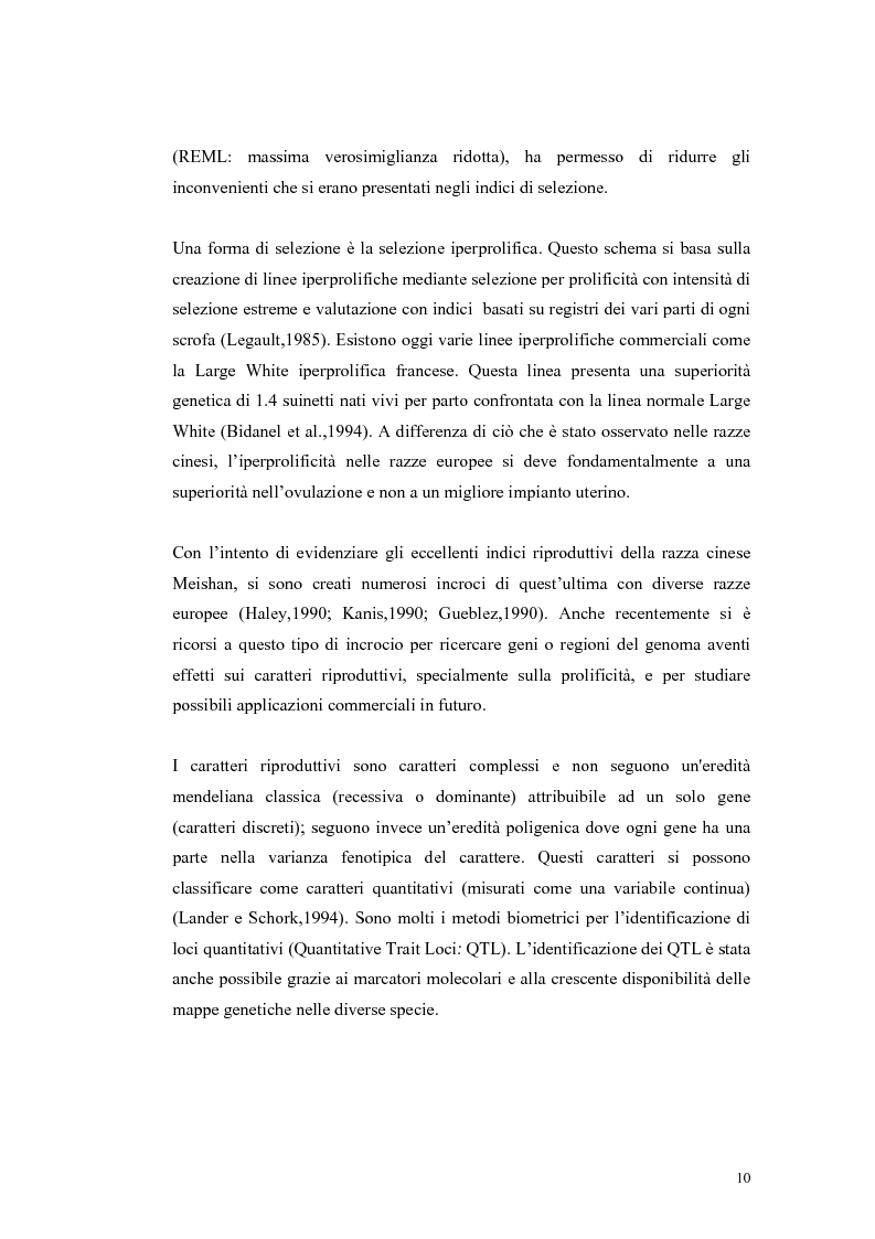 Anteprima della tesi: Polimorfismi SNP nel gene candidato BMPR1B per la prolificità nel suino in incroci Iberico X Meishan, Pagina 7