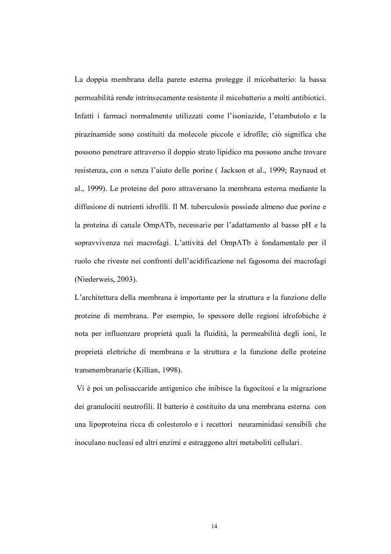 Anteprima della tesi: Immunità cellulo mediata in corso di Tubercolosi: ruolo delle cellule dendritiche, Pagina 10