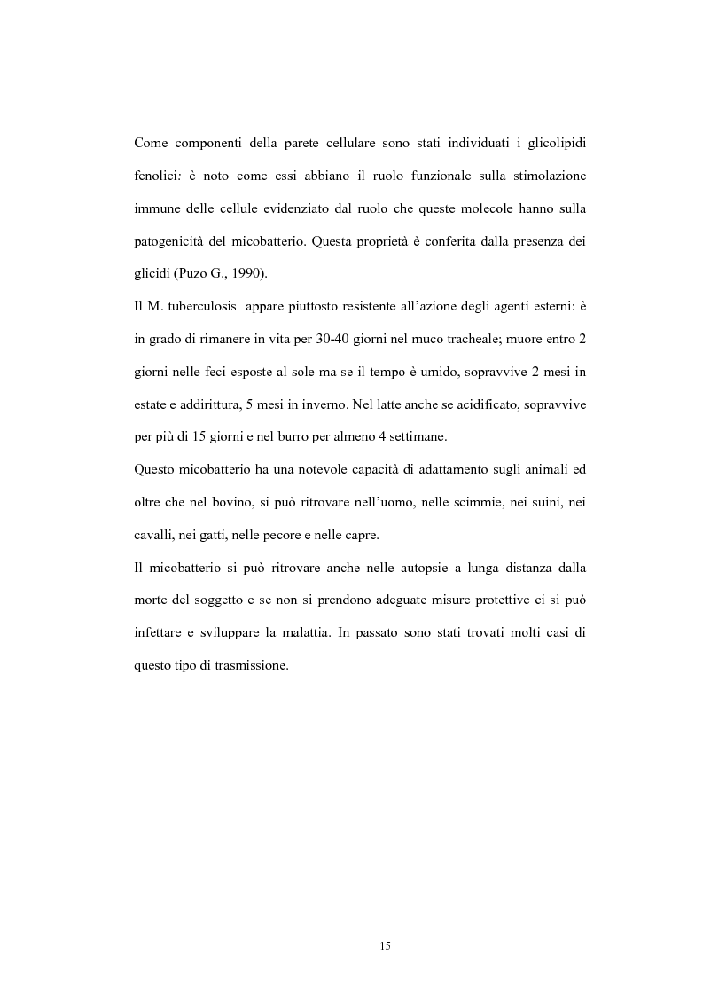 Anteprima della tesi: Immunità cellulo mediata in corso di Tubercolosi: ruolo delle cellule dendritiche, Pagina 11