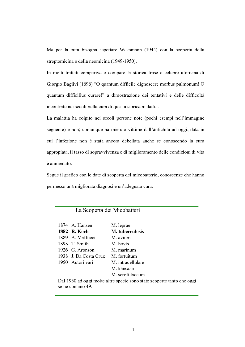 Anteprima della tesi: Immunità cellulo mediata in corso di Tubercolosi: ruolo delle cellule dendritiche, Pagina 7