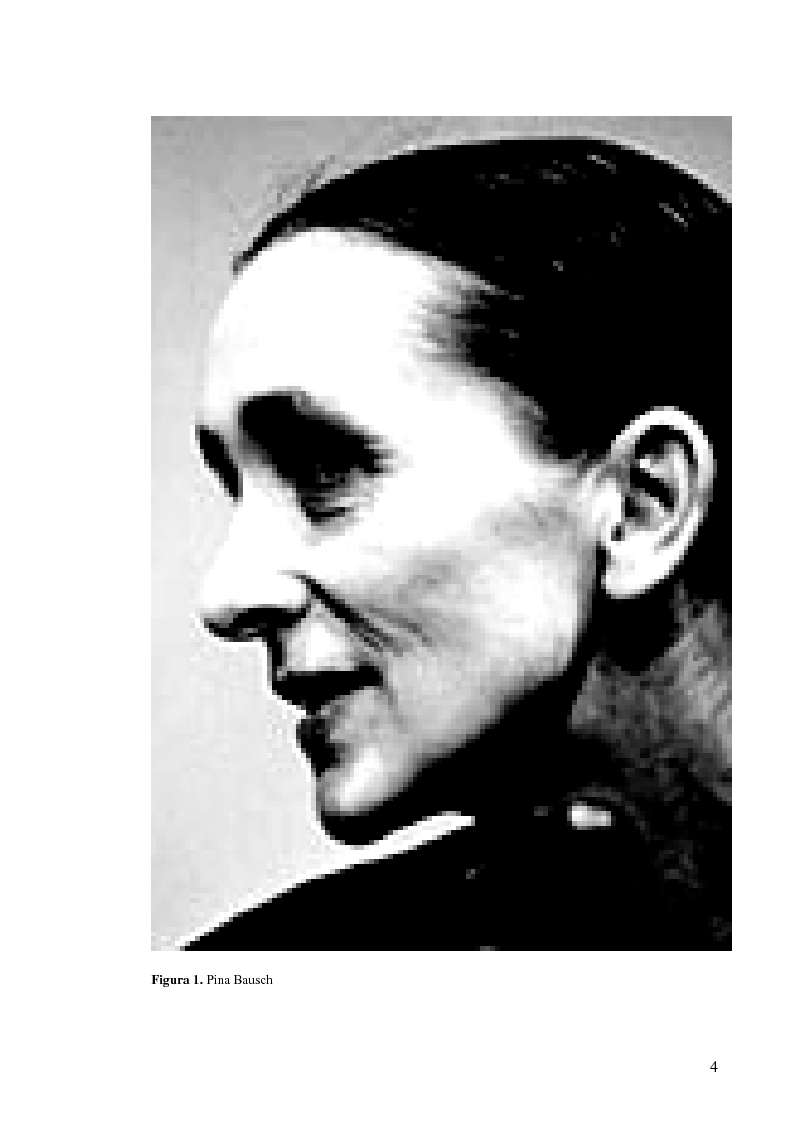 Anteprima della tesi: Café Muller di Pina Bausch. Analisi critica, Pagina 2