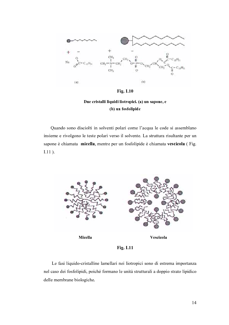 Anteprima della tesi: Sintesi e Caratterizzazione Mediante Diffrattometria a Raggi X su Polveri Cristalline a Temperatura Variabile di Nuovi Materiali Liquido-Cristallini, Pagina 9