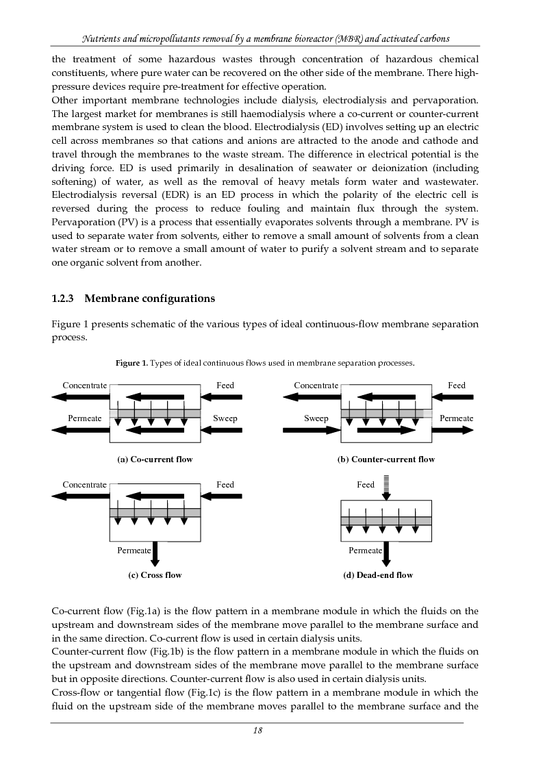 Anteprima della tesi: Rimozione di nutrienti e microinquinanti attraverso un processo a fanghi attivi assistito da membrana e carboni attivi, Pagina 13