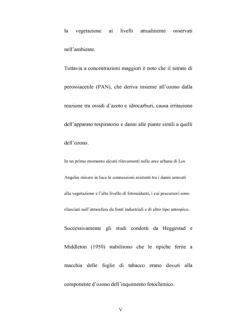 Anteprima della tesi: Effetti dell'ozono atmosferico sulle piante officinali, Pagina 2