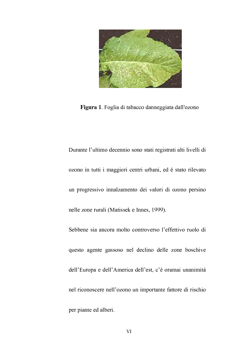 Anteprima della tesi: Effetti dell'ozono atmosferico sulle piante officinali, Pagina 3