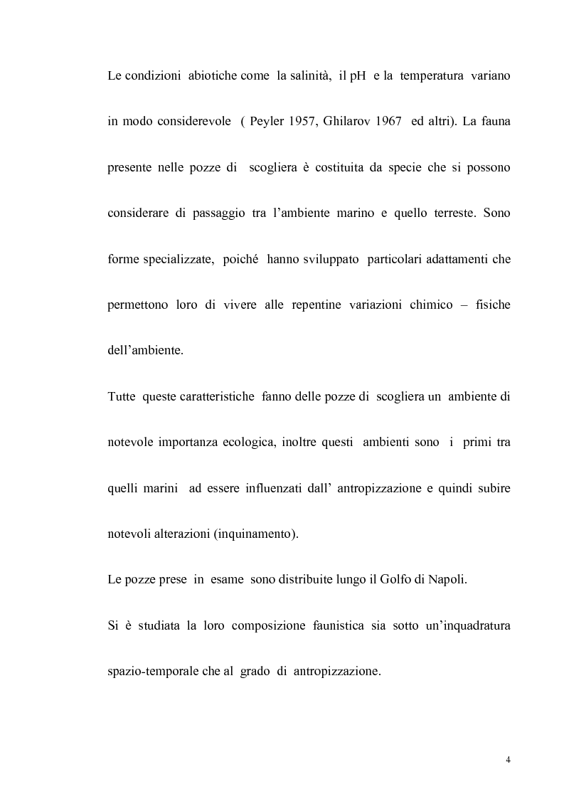 Anteprima della tesi: Primo contributo sullo studio delle comunità animali presenti nelle pozze di scogliera del golfo di Napoli, Pagina 2