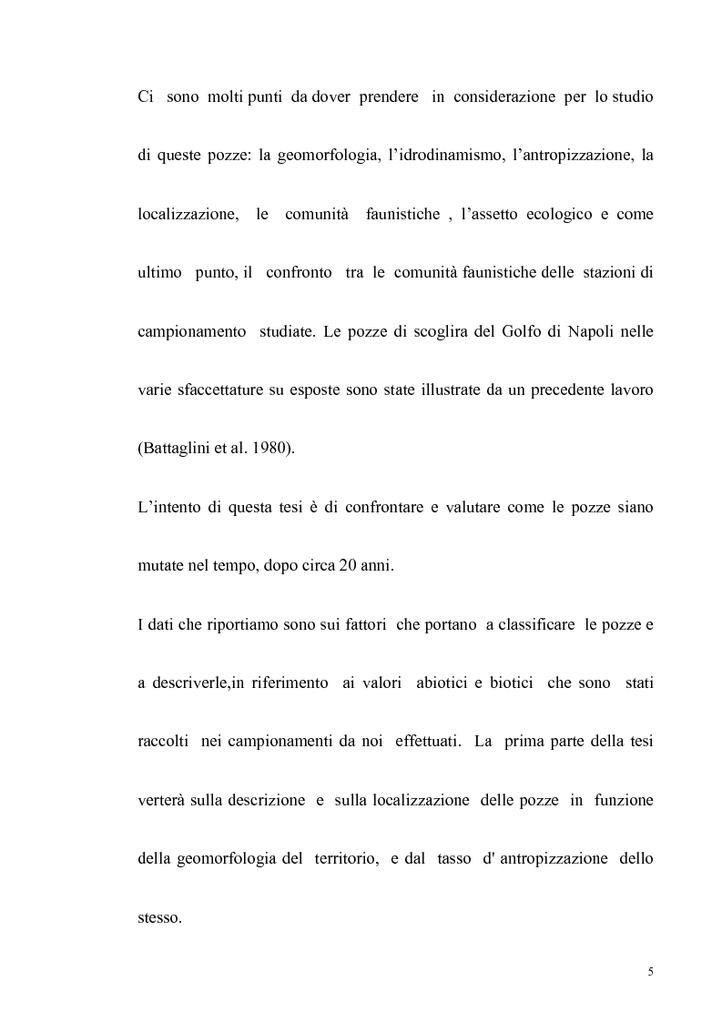 Anteprima della tesi: Primo contributo sullo studio delle comunità animali presenti nelle pozze di scogliera del golfo di Napoli, Pagina 3