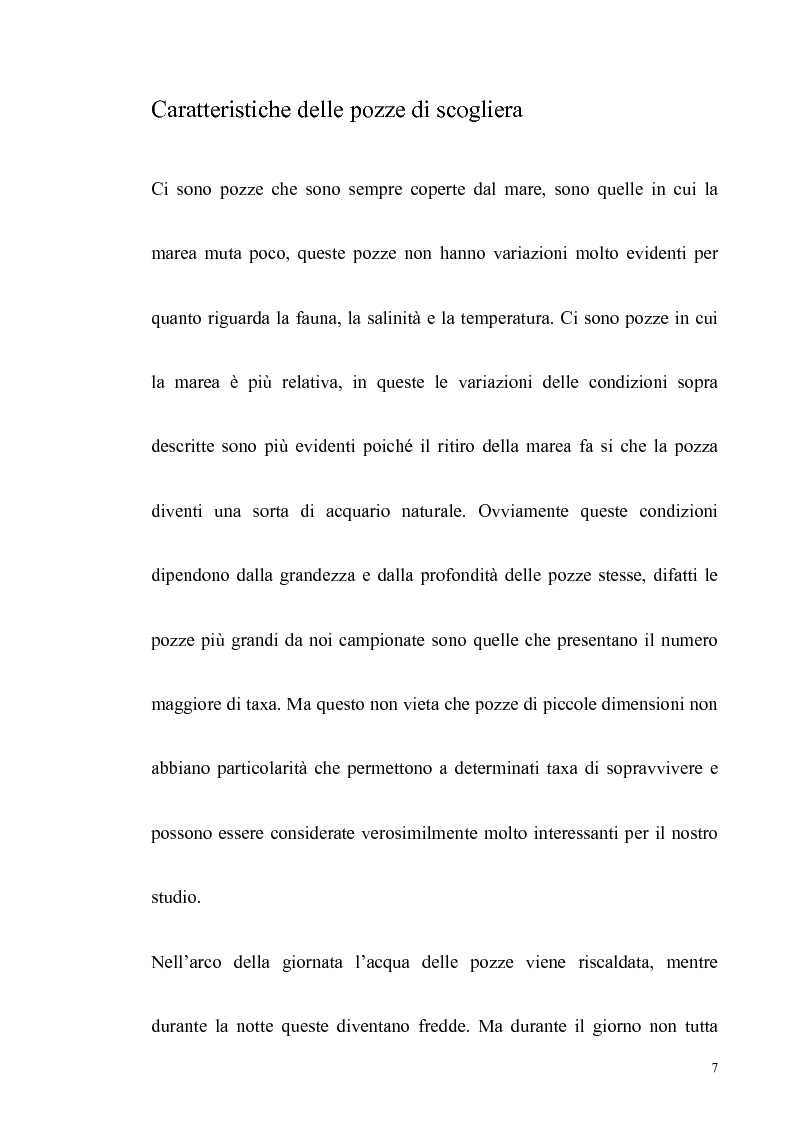Anteprima della tesi: Primo contributo sullo studio delle comunità animali presenti nelle pozze di scogliera del golfo di Napoli, Pagina 5