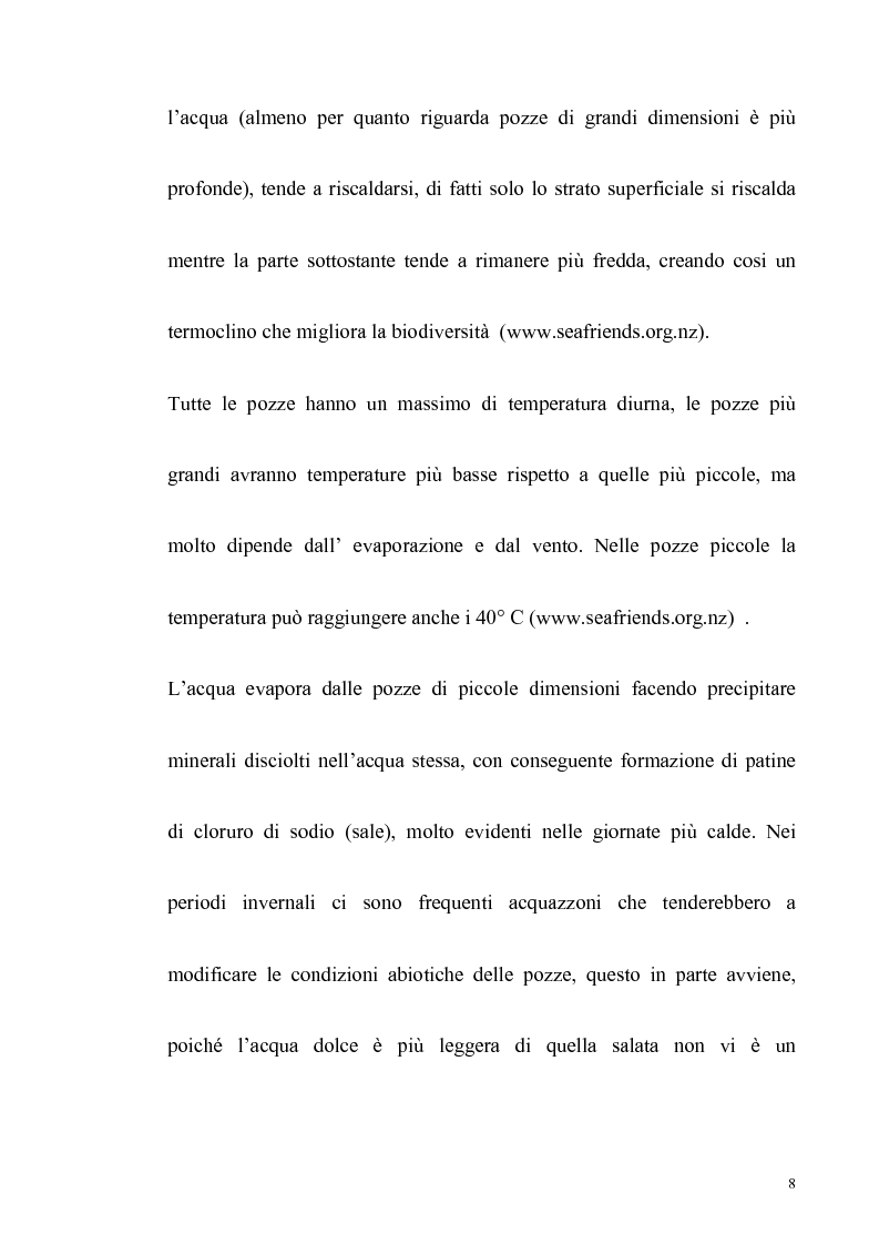Anteprima della tesi: Primo contributo sullo studio delle comunità animali presenti nelle pozze di scogliera del golfo di Napoli, Pagina 6