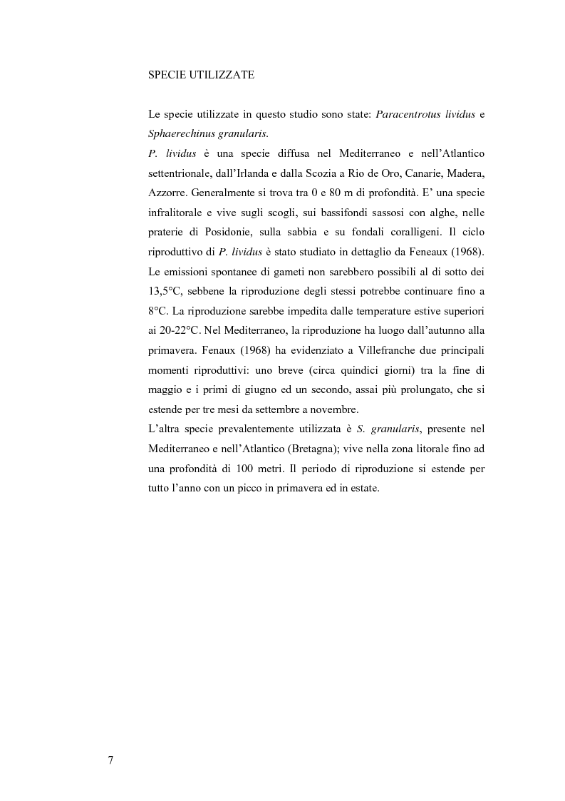 Anteprima della tesi: Ormesi e tossicità da agenti industriali e naturali:uno studio su tannini vegetali, Pagina 2