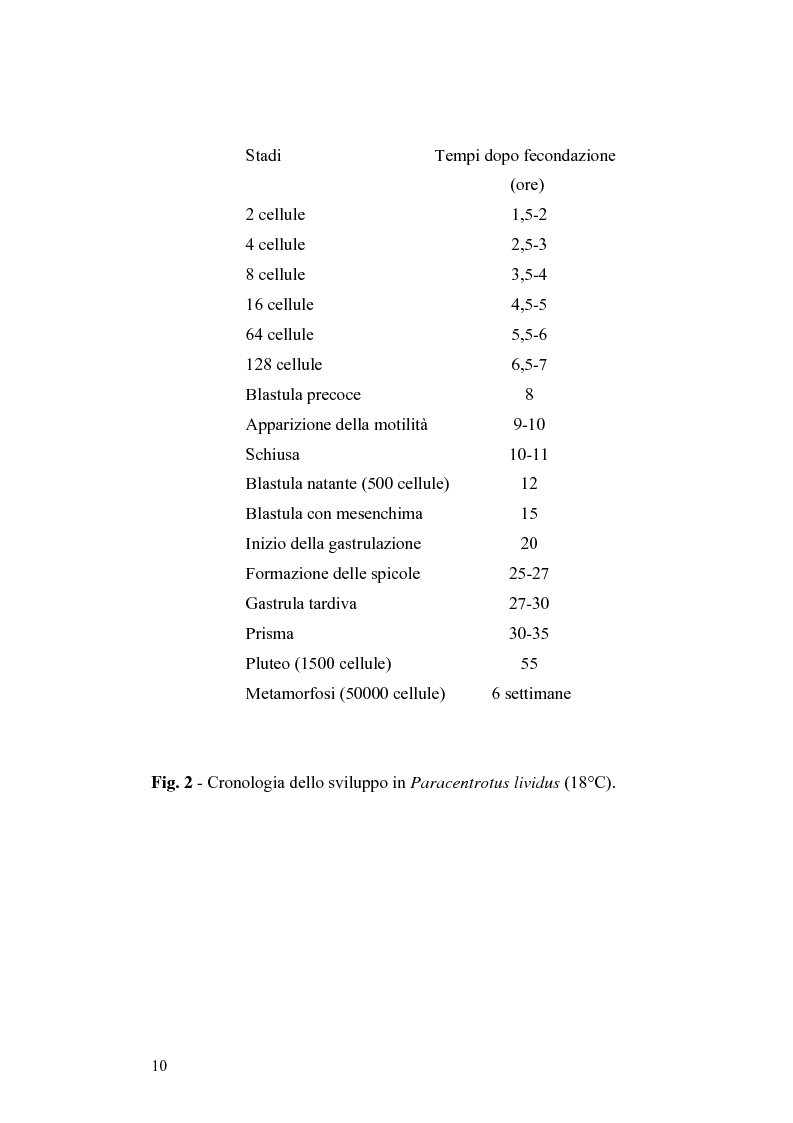 Anteprima della tesi: Ormesi e tossicità da agenti industriali e naturali:uno studio su tannini vegetali, Pagina 5