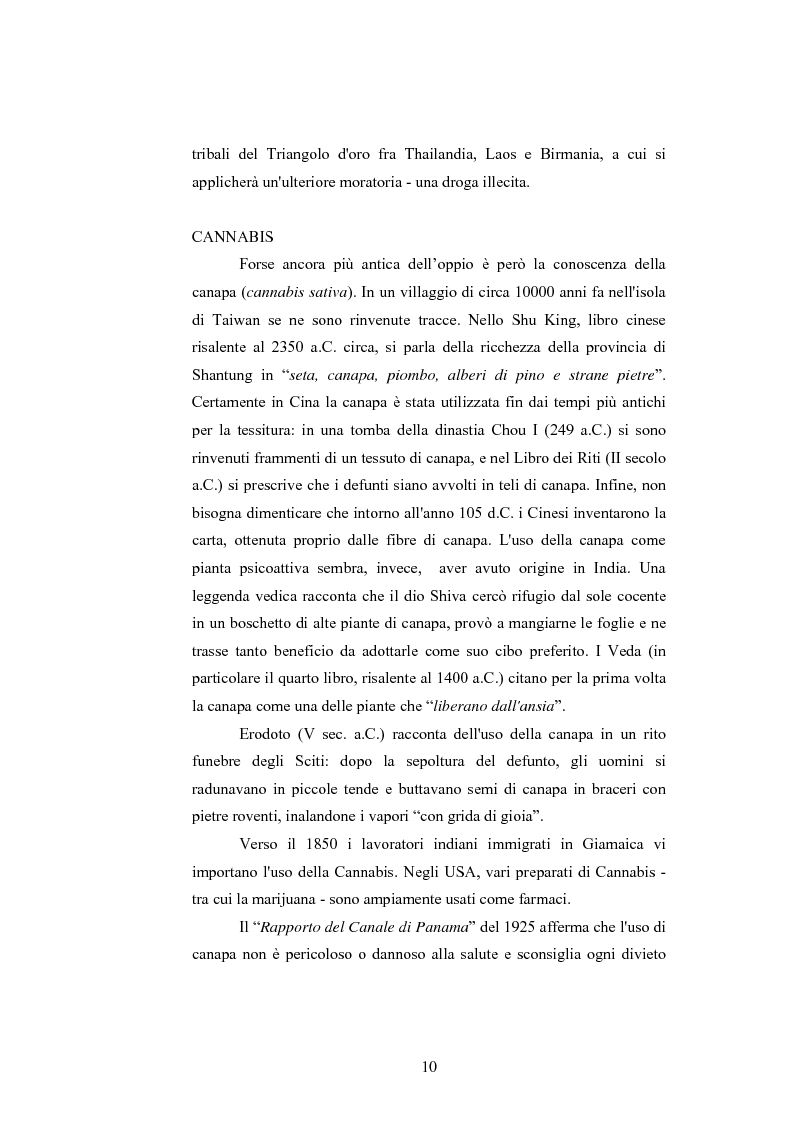 Anteprima della tesi: Gli effetti delle sostanze stupefacenti sui processi cognitivi: l'attuale stato della ricerca, Pagina 6