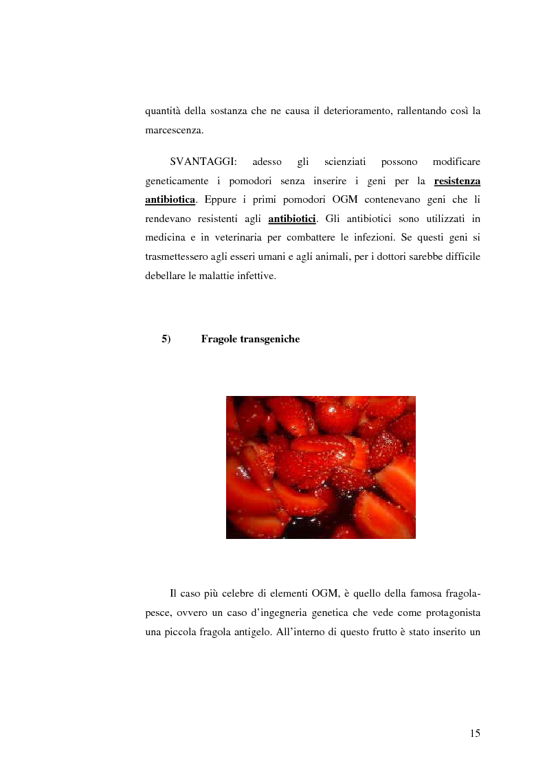 Anteprima della tesi: La comunicazione pubblicitaria nelle biotecnologie, Pagina 13