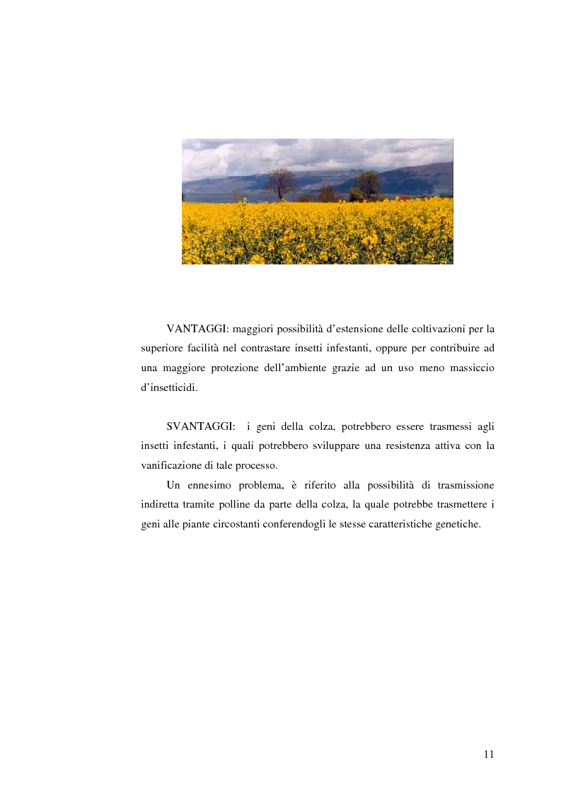 Anteprima della tesi: La comunicazione pubblicitaria nelle biotecnologie, Pagina 9