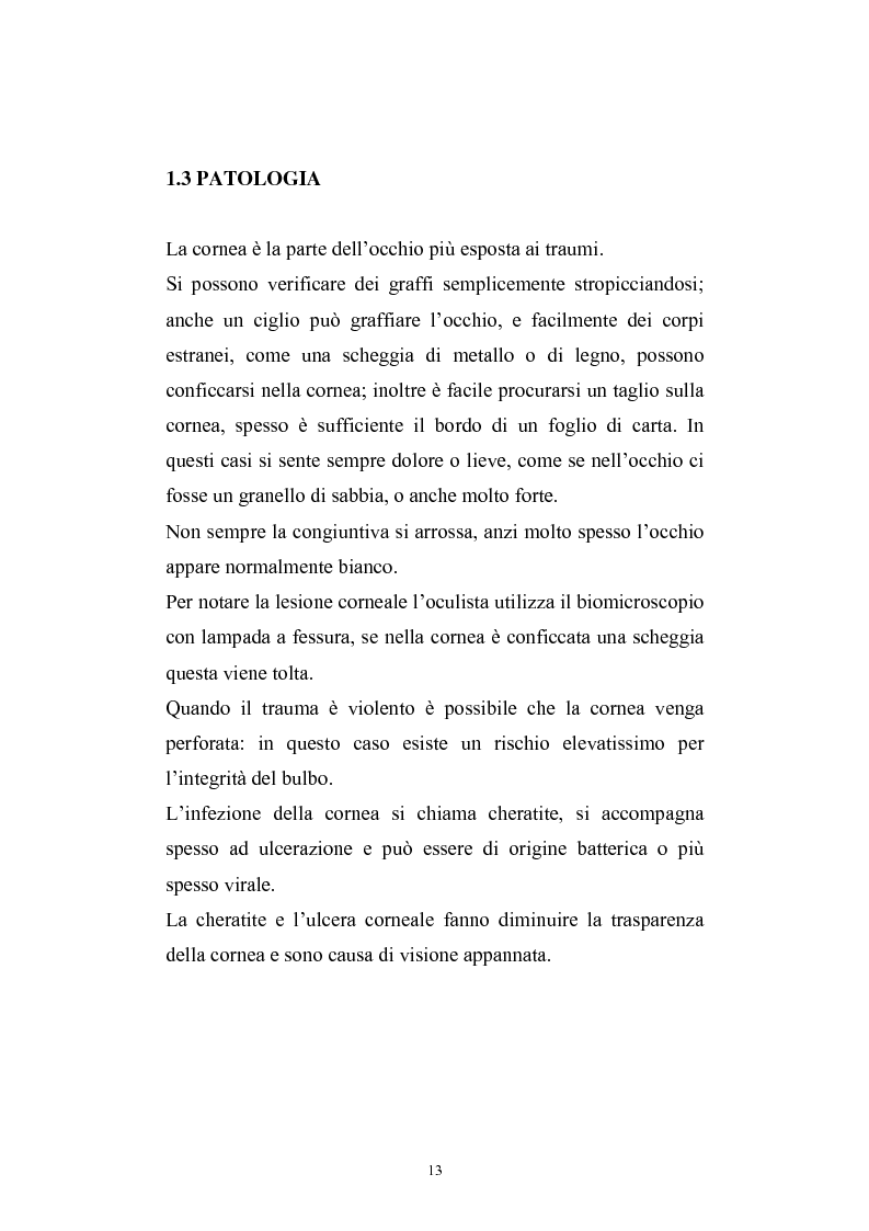 Anteprima della tesi: Studio del profilo di espressione genica in cornee sane ed in cornee affette da cheratocono., Pagina 10