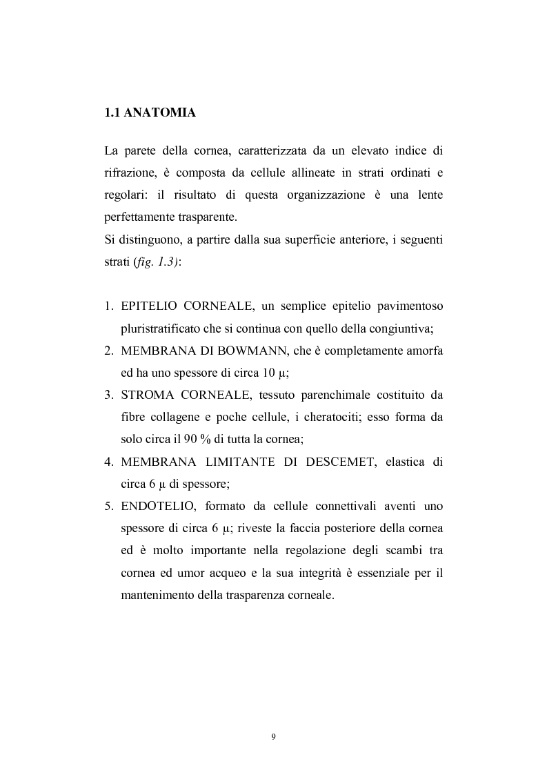 Anteprima della tesi: Studio del profilo di espressione genica in cornee sane ed in cornee affette da cheratocono., Pagina 6