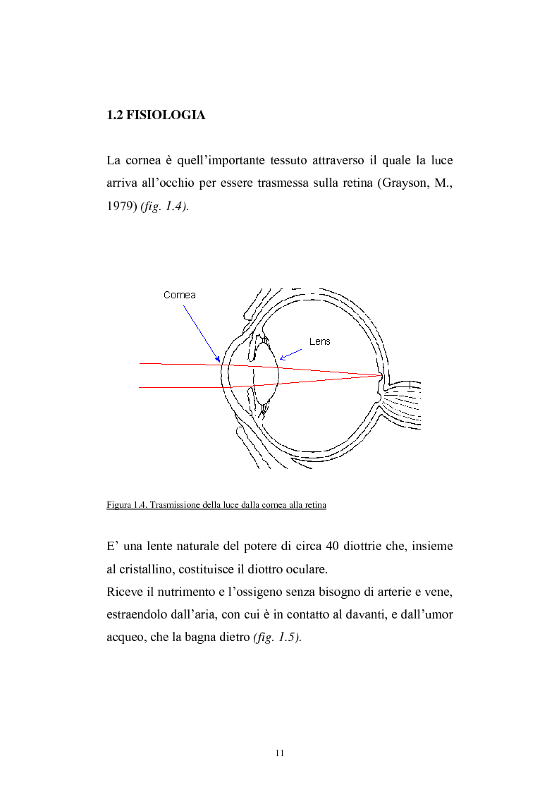 Anteprima della tesi: Studio del profilo di espressione genica in cornee sane ed in cornee affette da cheratocono., Pagina 8