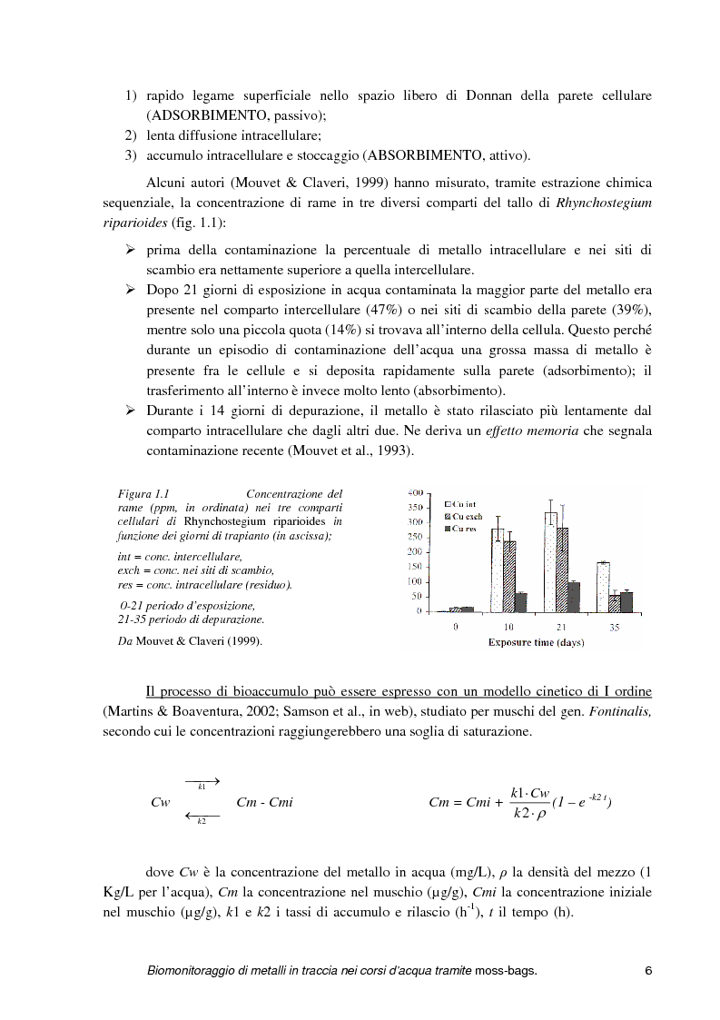 Anteprima della tesi: Biomonitoraggio di metalli in traccia nei corsi d'acqua tramite moss-bags, Pagina 6