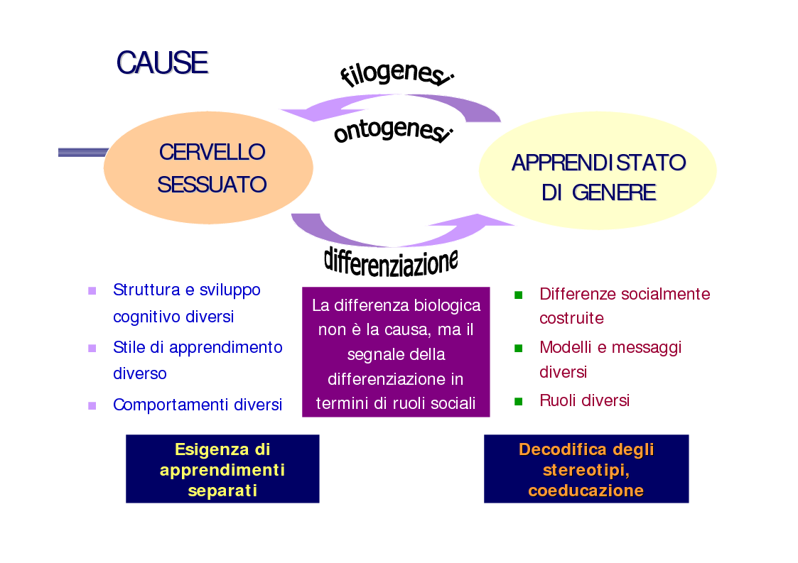 Anteprima della tesi: Genere e socializzazione scolastica. Una ricerca sulla rappresentazione dei modelli sessuali nei libri di testo per la scuola elementare, Pagina 3