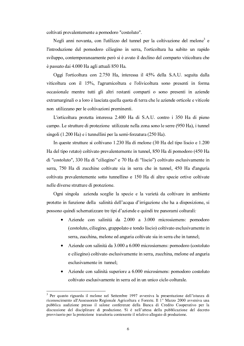 Anteprima della tesi: L'Indicazione Geografica Protetta ''Pomodoro di Pachino'', Pagina 5