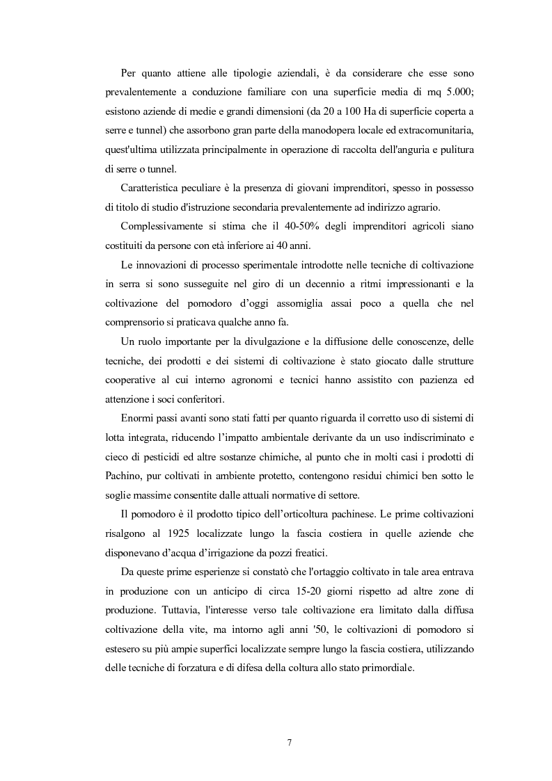 Anteprima della tesi: L'Indicazione Geografica Protetta ''Pomodoro di Pachino'', Pagina 6