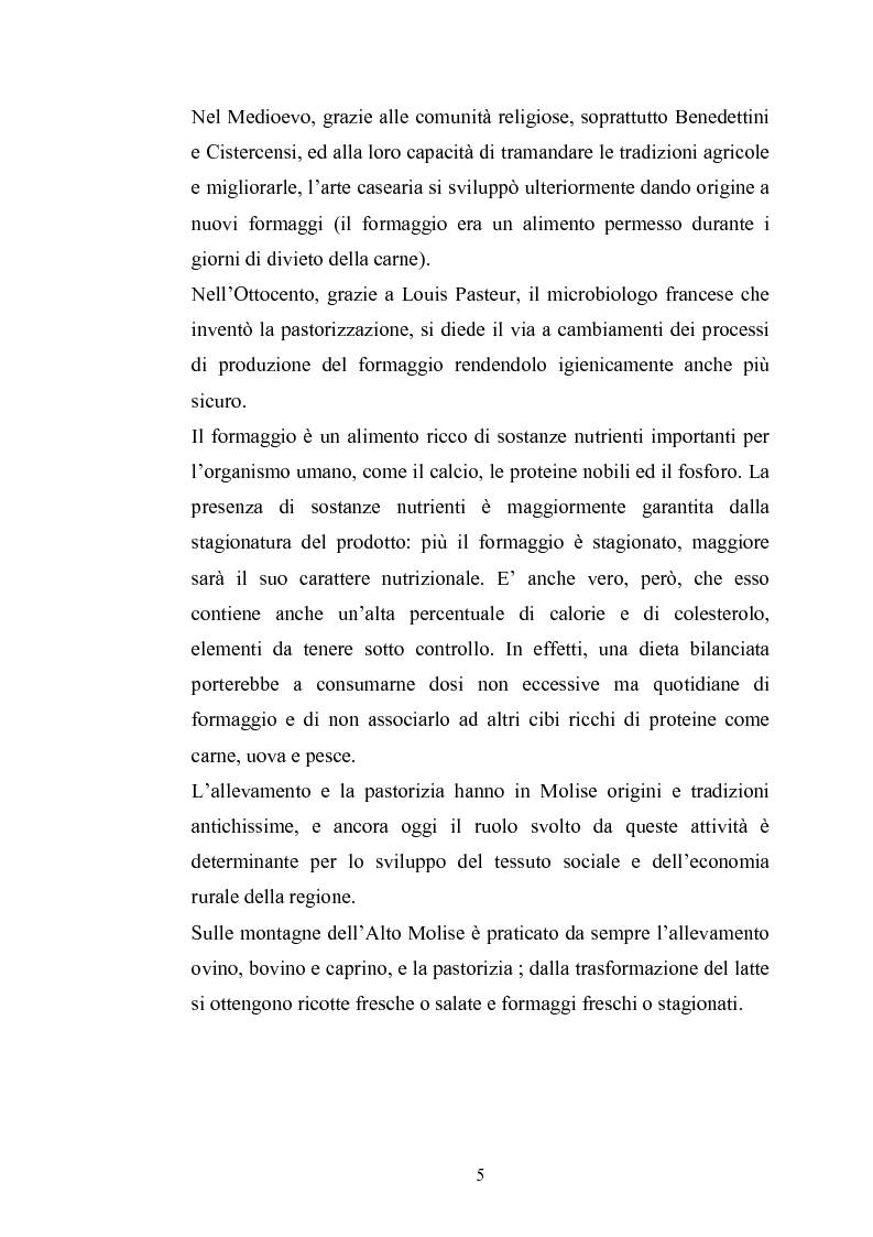 Anteprima della tesi: Studio per il miglioramento del caciocavallo di Vastogirardi, Pagina 3