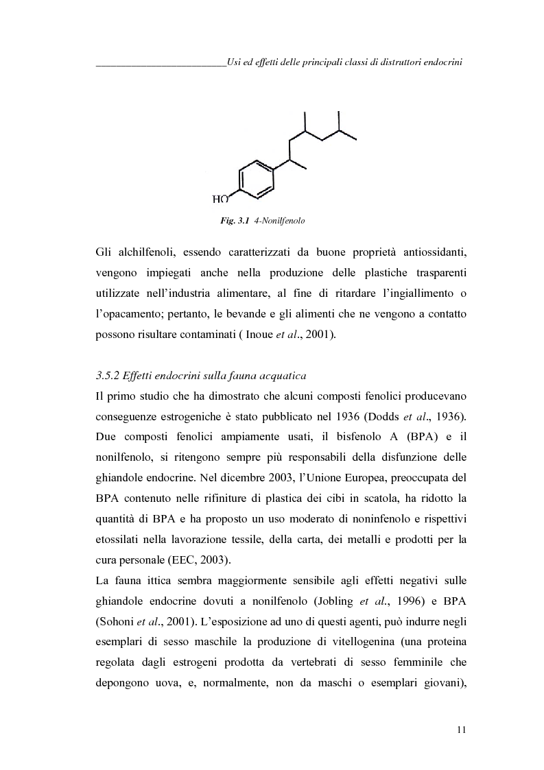Anteprima della tesi: Alchilfenoli e metalli pesanti ad attività endocrino-mometica: possibili interazioni, Pagina 11