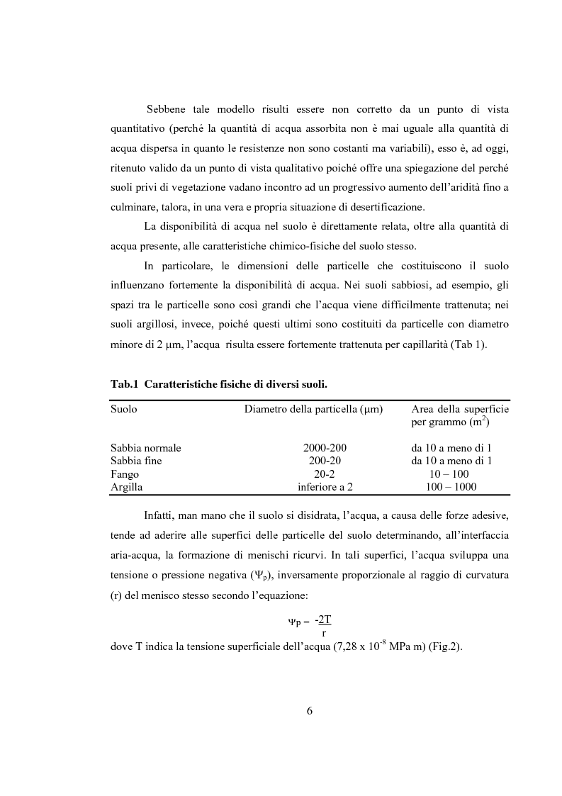 Anteprima della tesi: Variazioni delle relazioni idriche in Helianthus annuus L. durante le fasi vegetative, Pagina 3