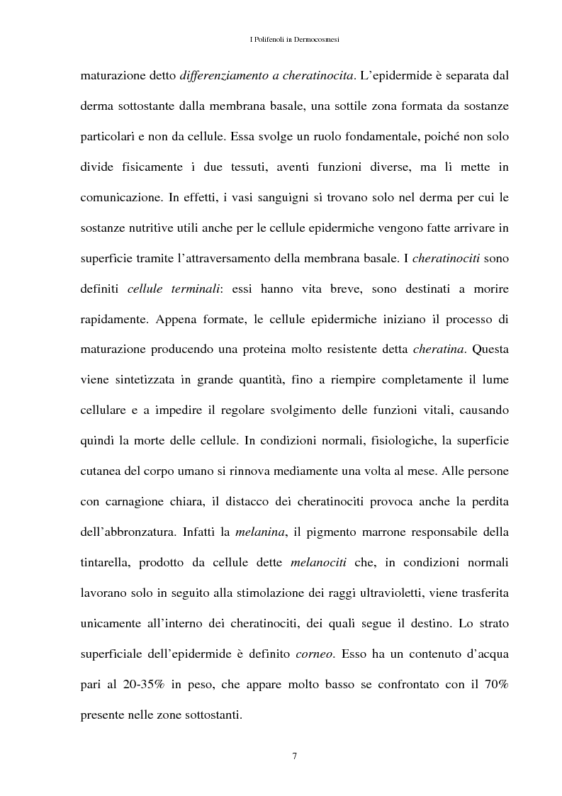 Anteprima della tesi: I Polifenoli in Dermocosmesi, Pagina 4