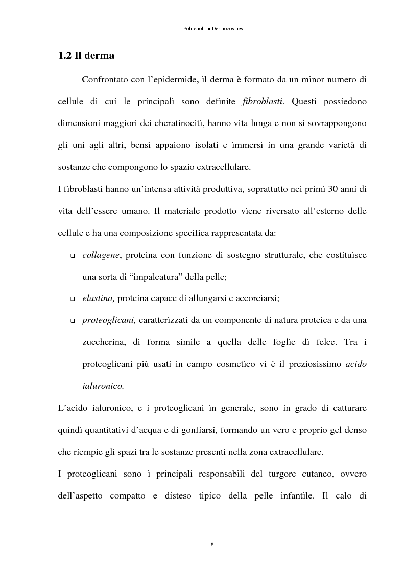 Anteprima della tesi: I Polifenoli in Dermocosmesi, Pagina 5
