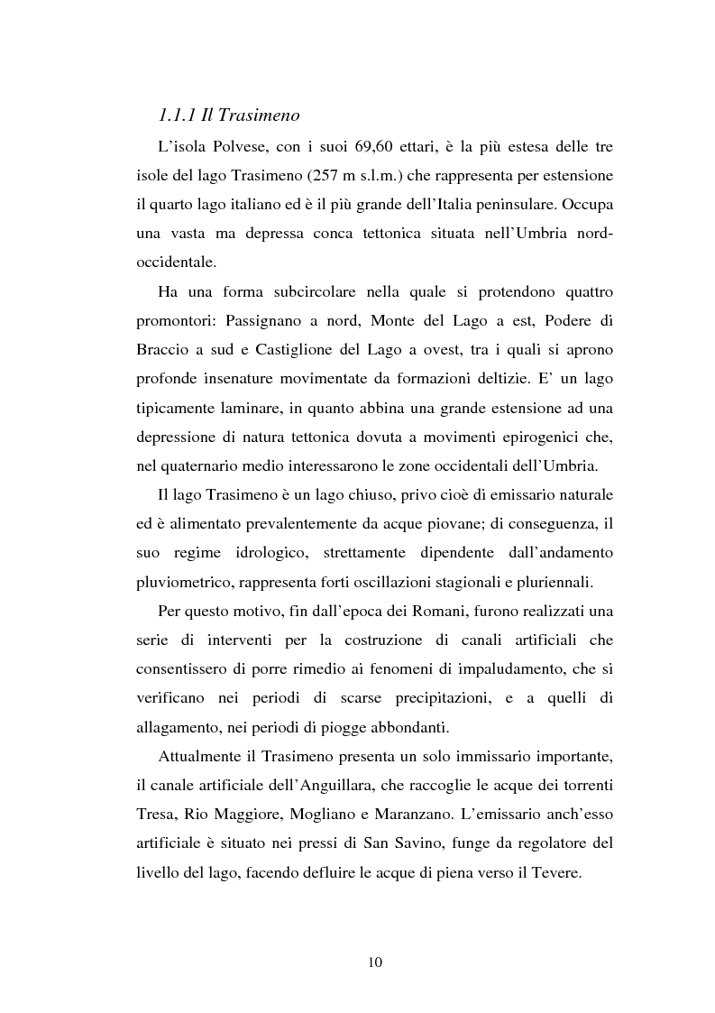 Anteprima della tesi: Progetto di web tv: controllo, sviluppo e promozione di un'area da proteggere, Pagina 7