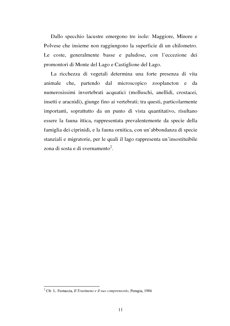 Anteprima della tesi: Progetto di web tv: controllo, sviluppo e promozione di un'area da proteggere, Pagina 8