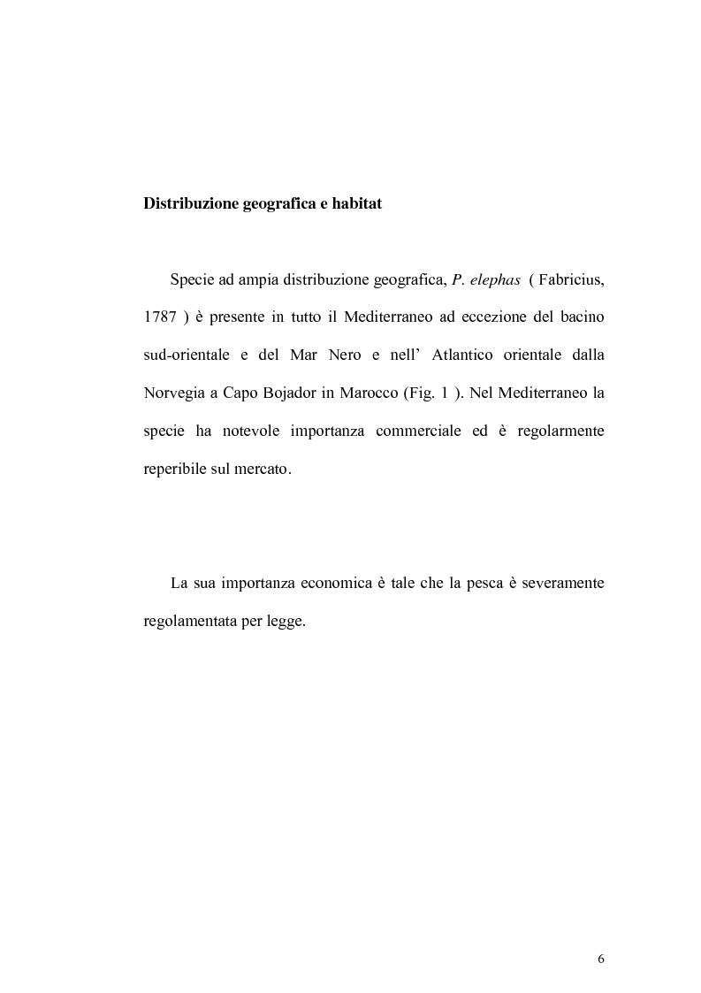 Anteprima della tesi: Biologia e catture dell'aragosta mediterranea Palinurus elephas, Pagina 5