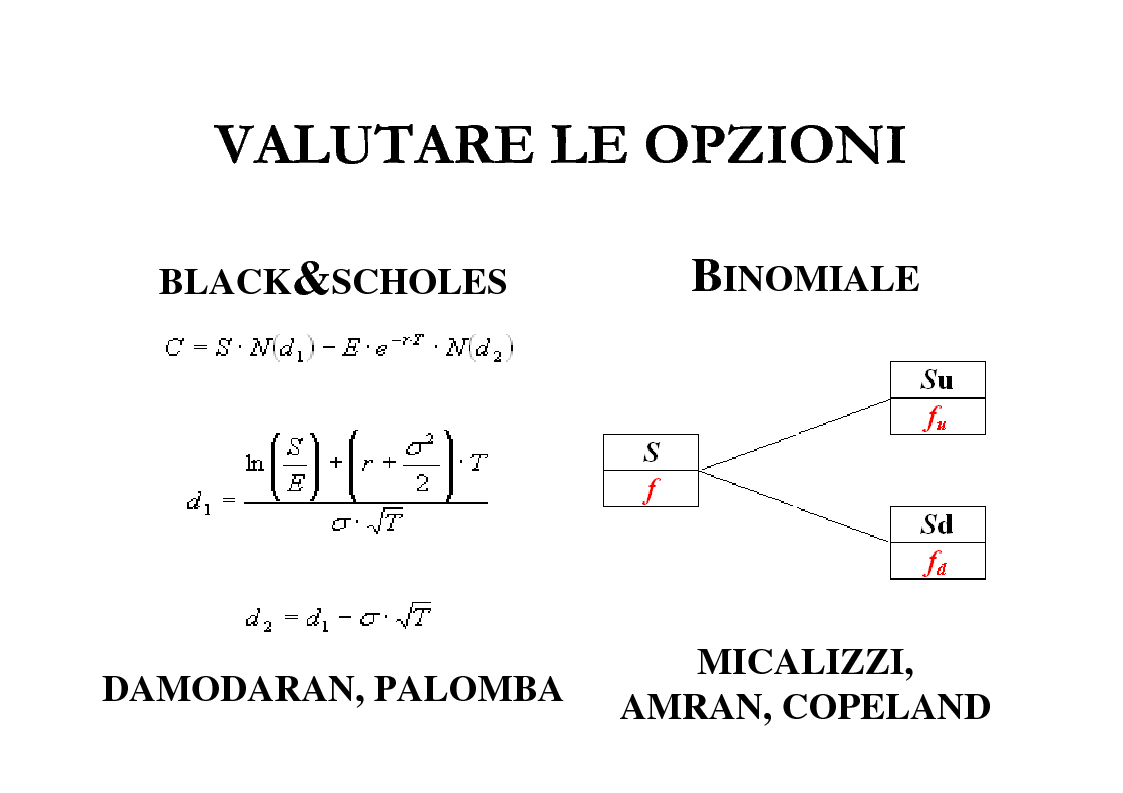 Anteprima della tesi: Il Valore Attuale Esteso - Casi applicativi per valutare progetti di investimento in presenza di incertezza, Pagina 15