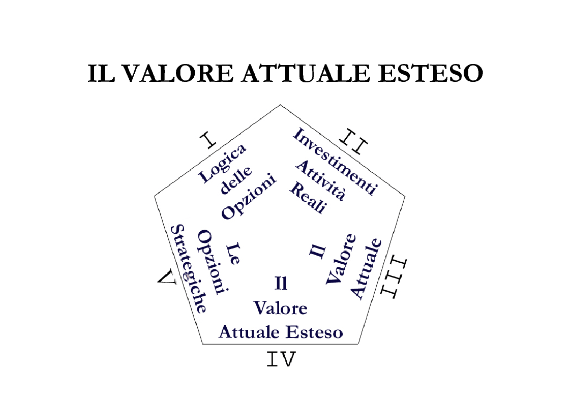 Anteprima della tesi: Il Valore Attuale Esteso - Casi applicativi per valutare progetti di investimento in presenza di incertezza, Pagina 7