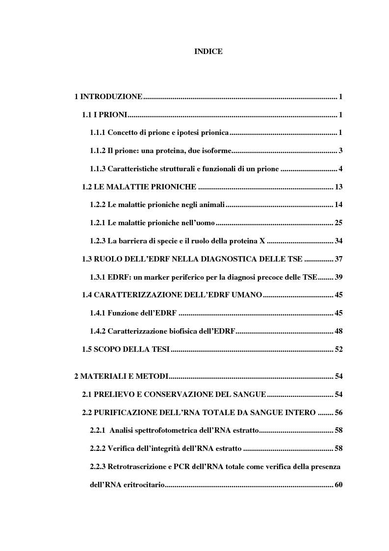 Indice della tesi: Clonaggio del cDNA per il fattore di differenziamento eritrocitario EDRF e studio della sua espressione nell’uomo, Pagina 1