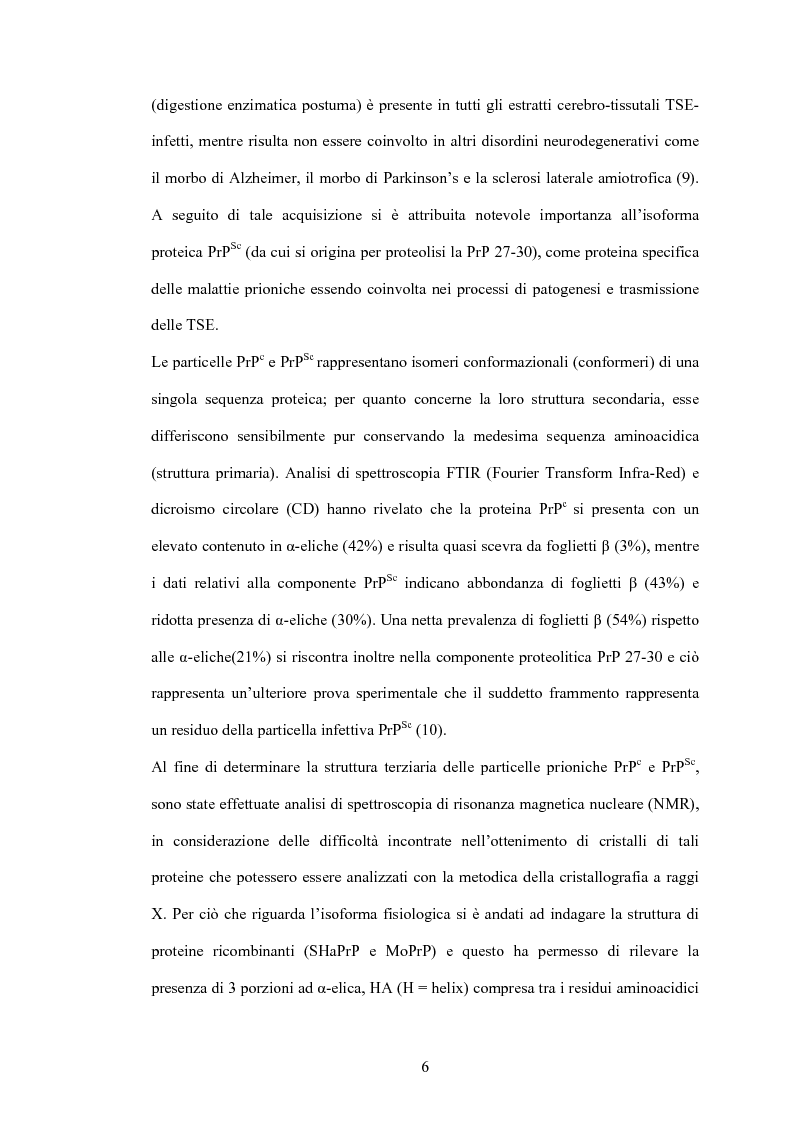 Anteprima della tesi: Clonaggio del cDNA per il fattore di differenziamento eritrocitario EDRF e studio della sua espressione nell’uomo, Pagina 6