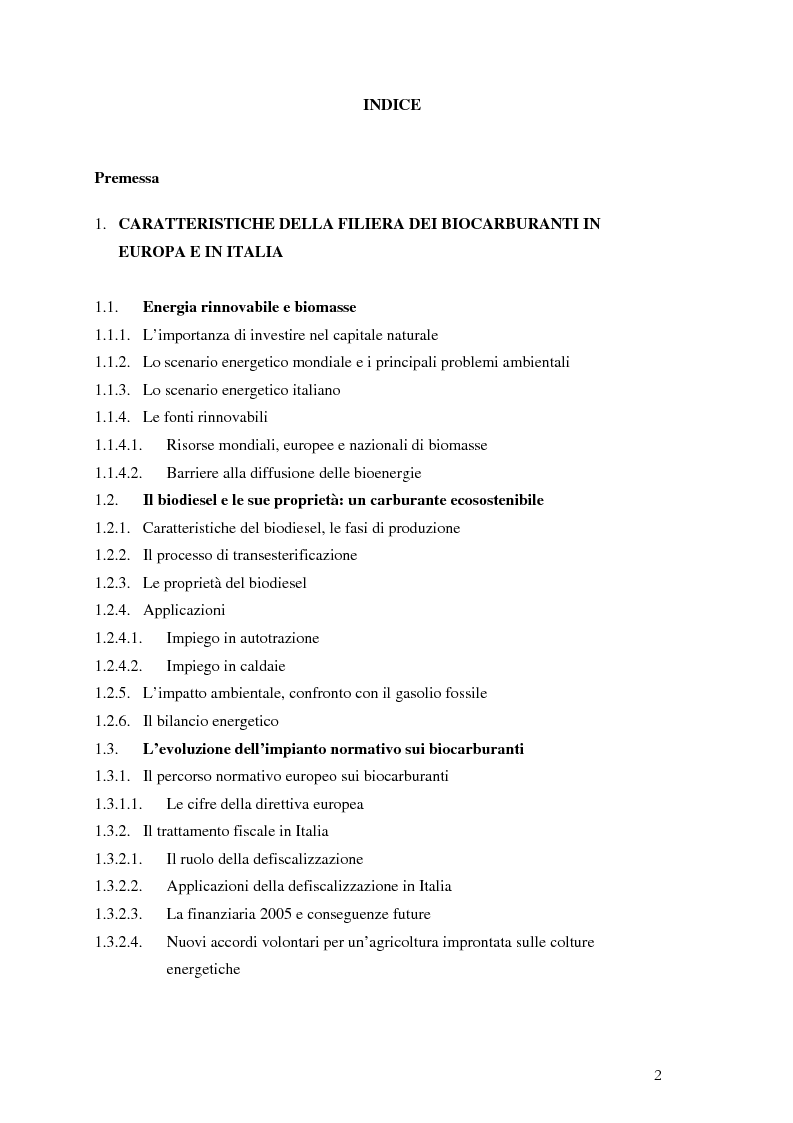 Indice della tesi: Analisi e caratteristiche di una nuova filiera di biocarburanti in Toscana, Pagina 1