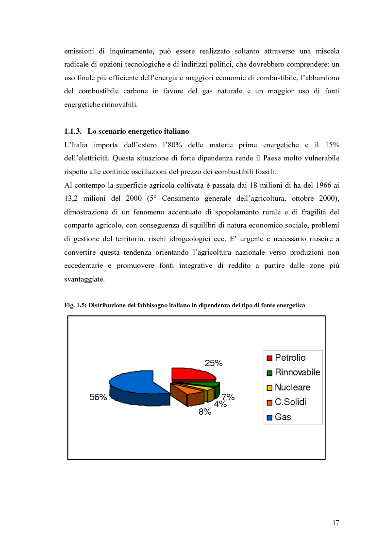 Anteprima della tesi: Analisi e caratteristiche di una nuova filiera di biocarburanti in Toscana, Pagina 11