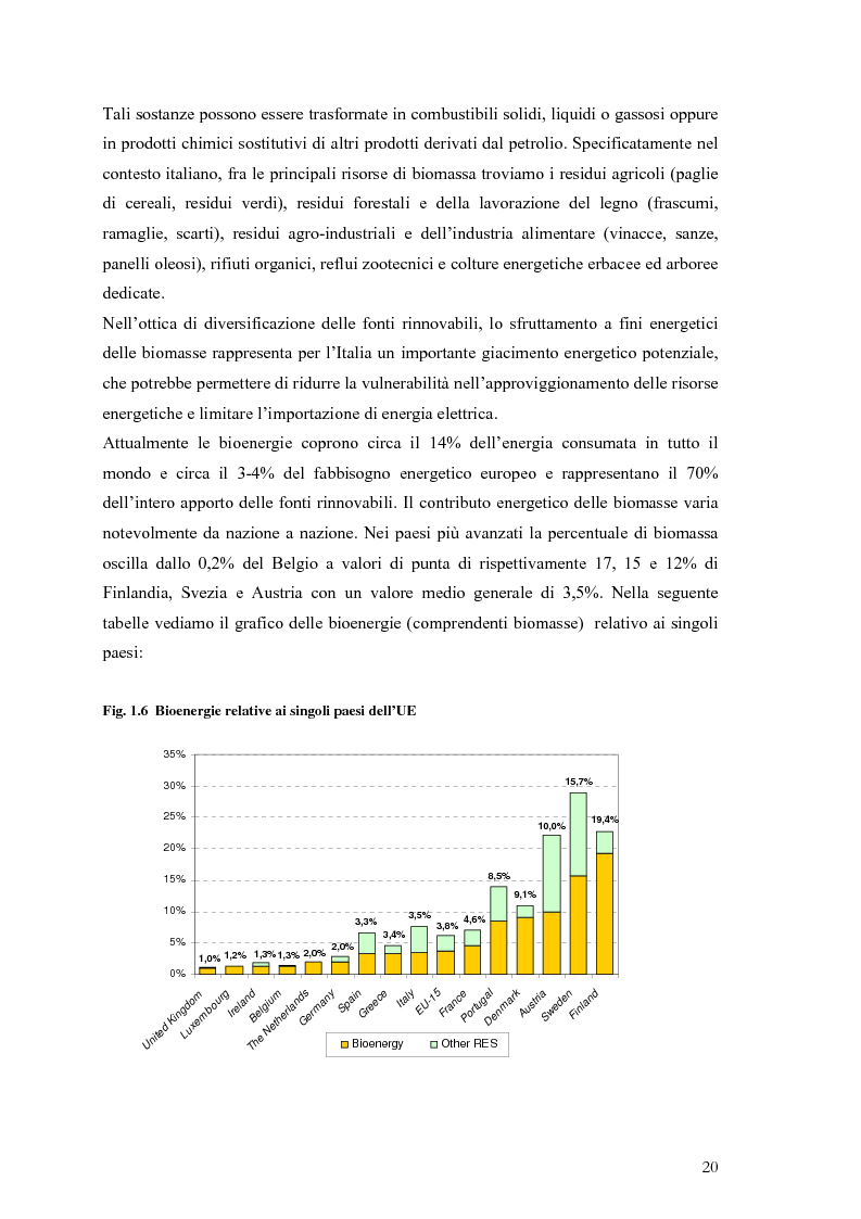 Anteprima della tesi: Analisi e caratteristiche di una nuova filiera di biocarburanti in Toscana, Pagina 14