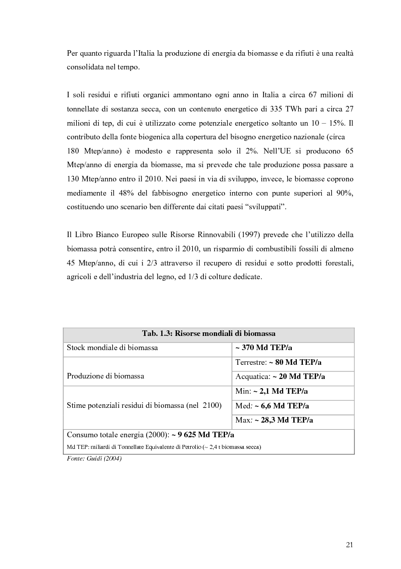 Anteprima della tesi: Analisi e caratteristiche di una nuova filiera di biocarburanti in Toscana, Pagina 15