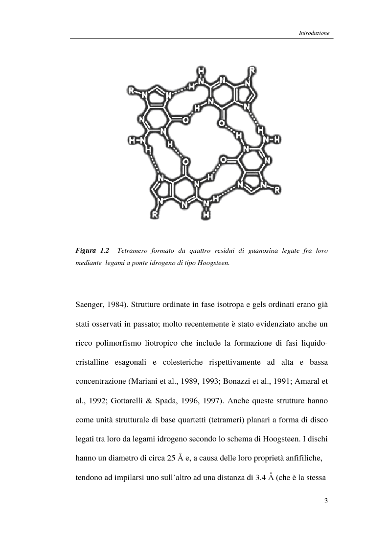 Anteprima della tesi: Effetto della quantità di carica sulle proprietà strutturali e sulla stabilità di quadrieliche di guanosine: analisi mediante diffrazione dei raggi X, Pagina 8