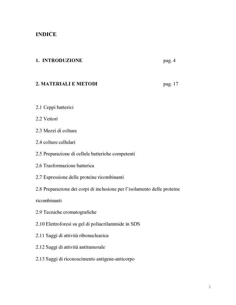 Indice della tesi: Costruzione e caratterizzazione di una immuno-RNasi con attività antitumorale, Pagina 1